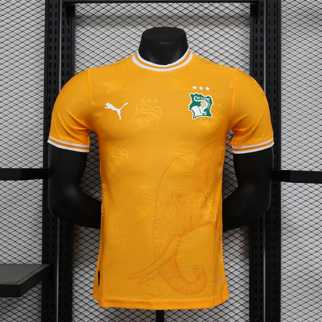 Cote Divoire 2024-25 Home