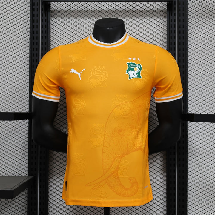 Cote Divoire 2024-25 Home