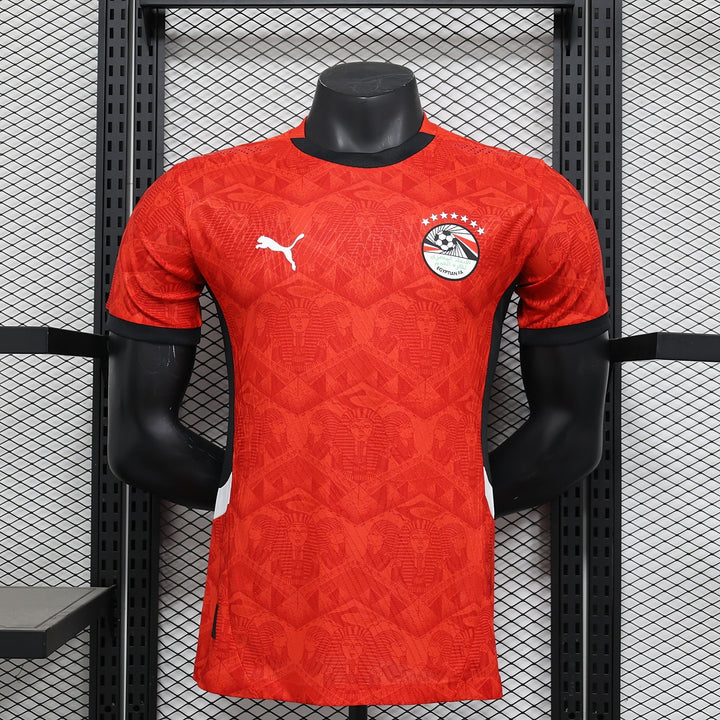 Egypt 2024-25 Home